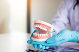 dentist holding dentures in denture clinic in philadelphia